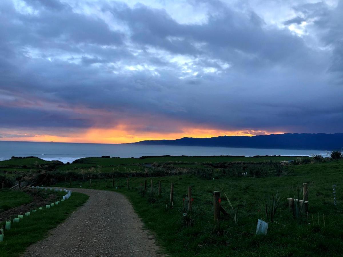 Toitoi Papatotara Bnb Dış mekan fotoğraf