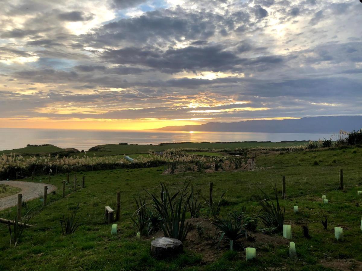 Toitoi Papatotara Bnb Dış mekan fotoğraf