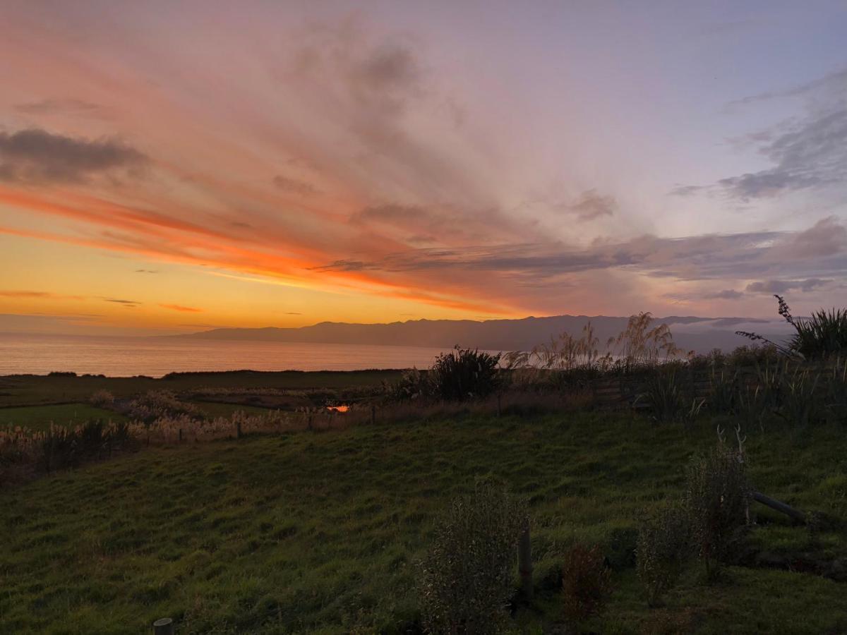 Toitoi Papatotara Bnb Dış mekan fotoğraf